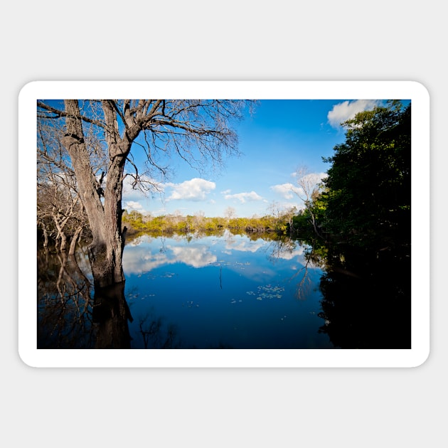 Angkor Wat lake landscape Magnet by Lieyim